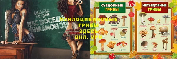 круглые Алзамай